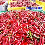 Calabria Mare Bed & Breakfast 4*