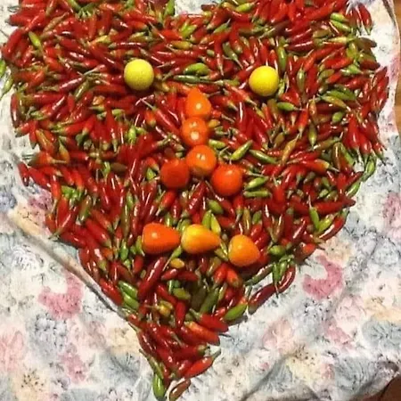 לינה וארוחת בוקר Calabria Mare פאלרנה