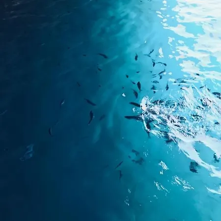 לינה וארוחת בוקר Calabria Mare