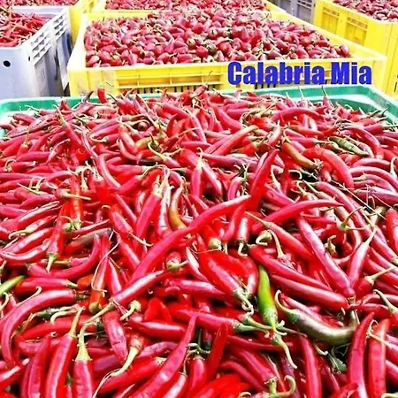 Calabria Mare לינה וארוחת בוקר 4*