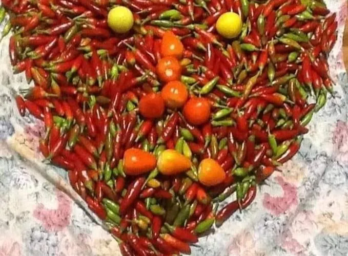 Nocleg ze śniadaniem Calabria Mare Falerna