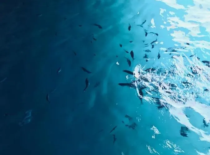 Nocleg ze śniadaniem Calabria Mare