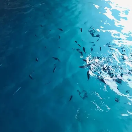 Calabria Mare Panzió