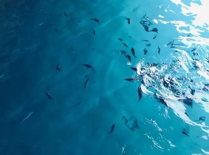 Calabria Mare Alojamento de Acomodação e Pequeno-almoço